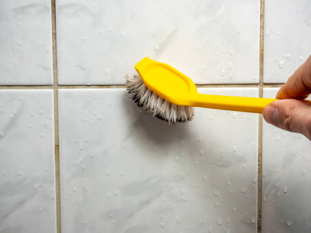 Best Mold Remediation Experts  in Seaville, NJ