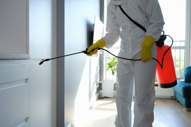 Best Office Mold Removal Services  in Seaville, NJ