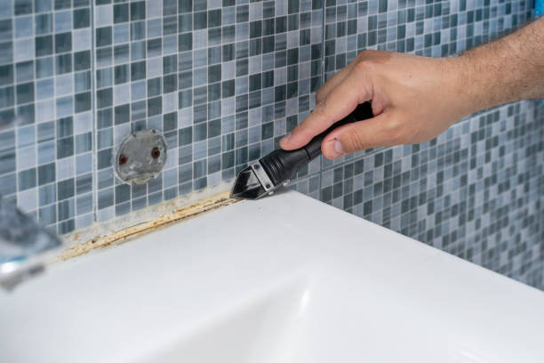 Best Home Mold Removal  in Seaville, NJ